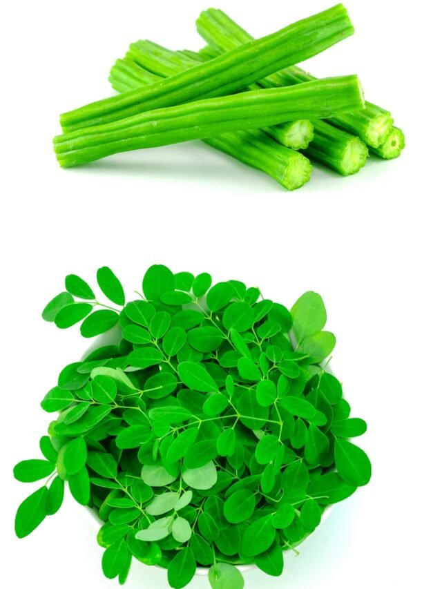 7 moringa benefits which improve your health